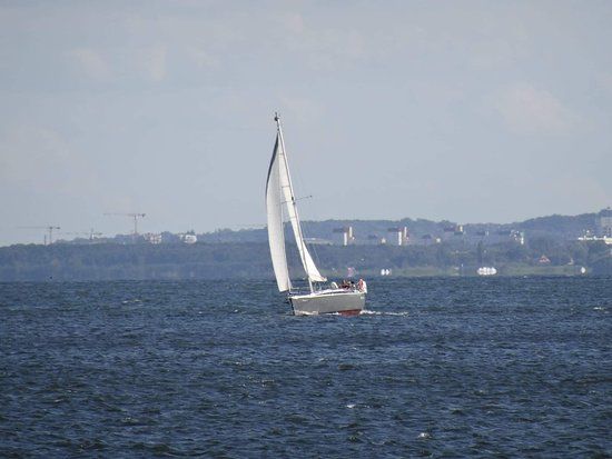 Wypożyczalnia rowerów